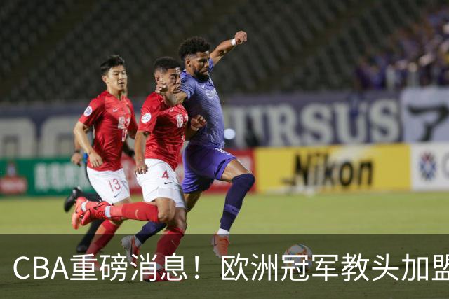 CBA重磅消息！欧洲冠军教头加盟广东，石奎正式签约香港金牛，萨姆纳也有可能离开广东，杜锋儿子前往辽宁试训
